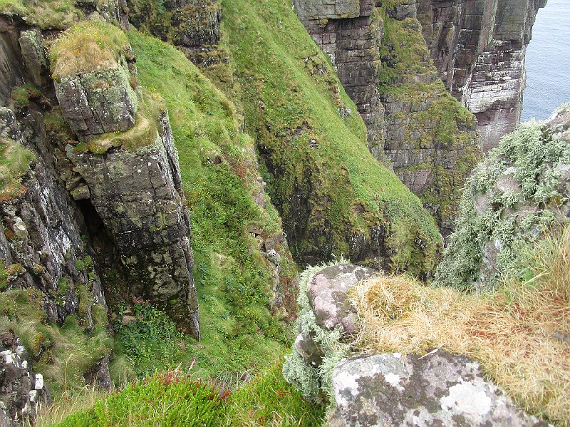2018.07.10 bei Ron an der Nordwestkueste (2138).JPG
